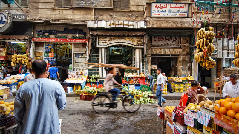 مصر