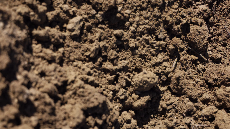 What are the uses of clay?