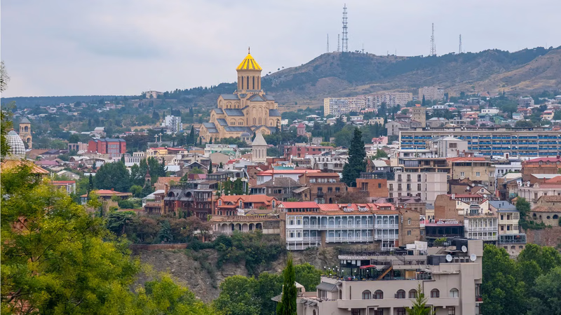فرصت های تجاری در گرجستان