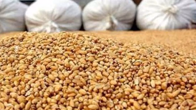 چارے کے معیار کے تعین کا طریقہ اور جانوروں کا چارہ بیچنے والوں پر اعتماد کرنے کے طریقے