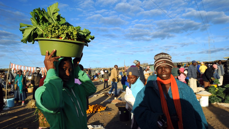Ticaret İçgörülerinin Analizi: Zimbabve"nin 2025 Ekonomik Görünümü