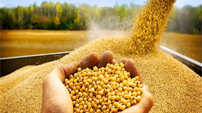گیاهان صنعتی
