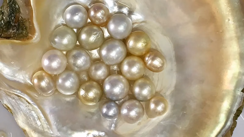 Pearl