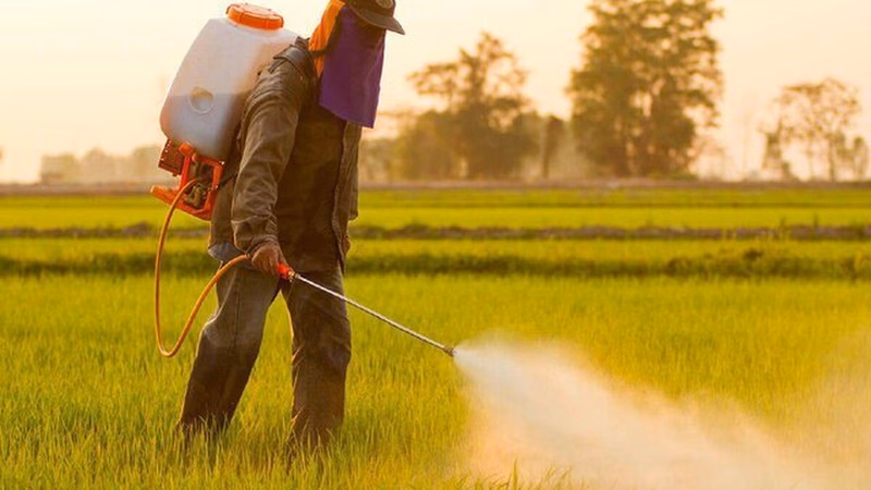 Fertilizers and Pesticides