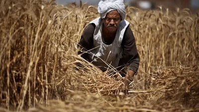 Egyptian economy and financial resources and income