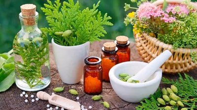 Applications of medicinal plants in modern medicine and traditional medicine