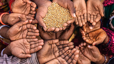 Review of food security in the Middle East