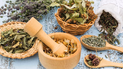 What plants are called medicinal plants?
