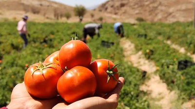 مشرق وسطیٰ میں زرعی مسائل