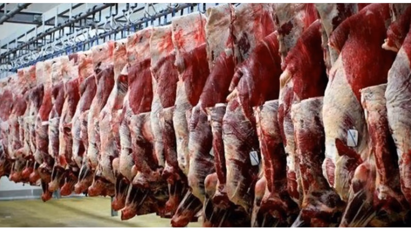 Meat consumption in West Asian countries