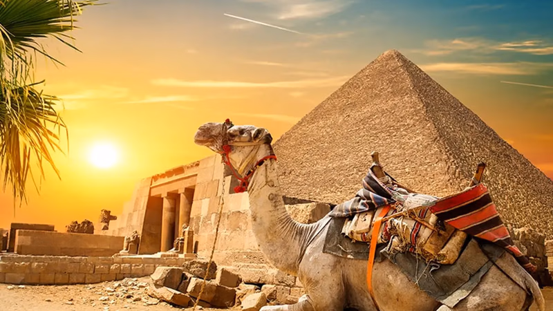 Food market challenges in the Middle East and West Asia