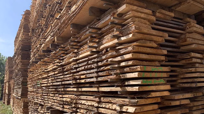 Investigating the supply and demand situation of wood and timber in the world
