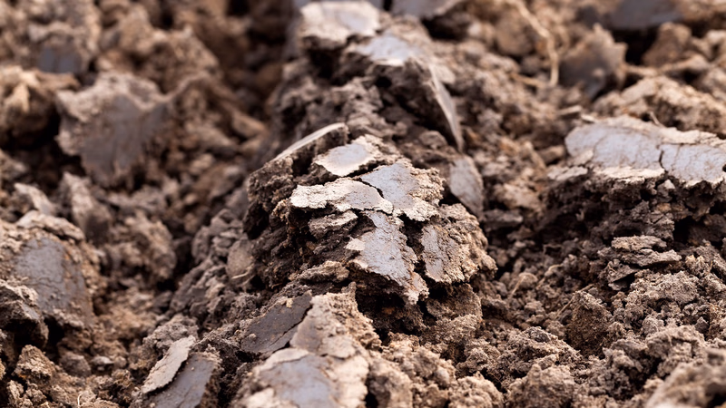 Advantages and disadvantages of clay