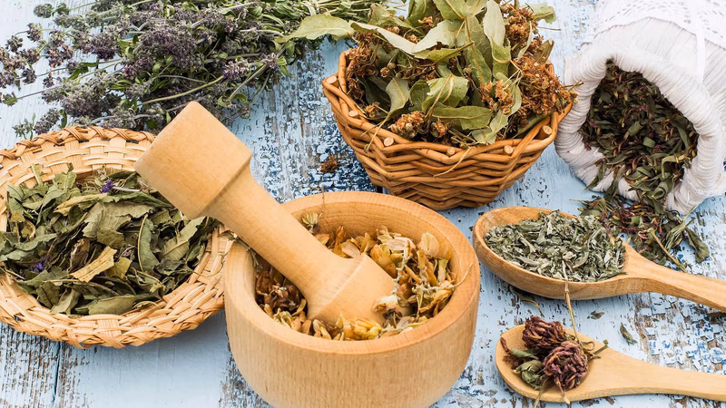 What plants are called medicinal plants?