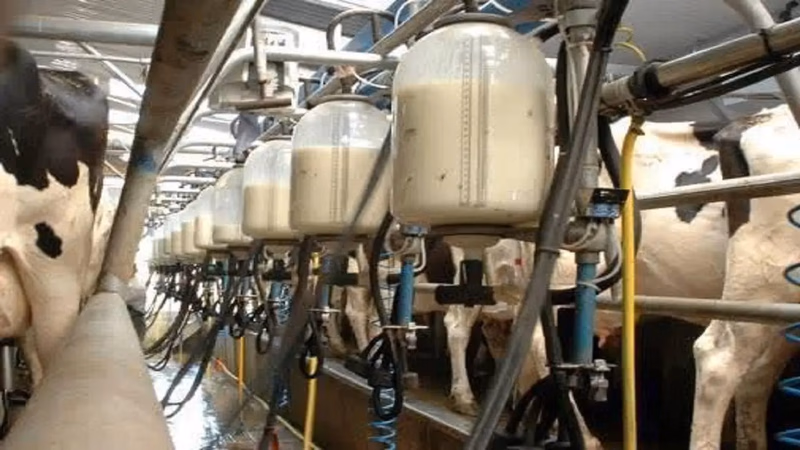 The role of dairy products in the food basket of West Asian people