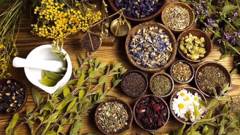 The most important medicinal plants in terms of economic value in the market