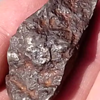 Nizak
