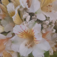 گالری صنایع دستی و مسی تخت جمشید