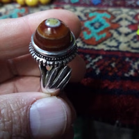 شیروانی