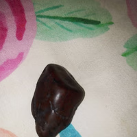 ادم فؤاد