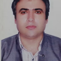 هادی (آکام) فیضی