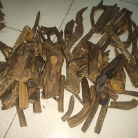 نوریفیلی کامانج