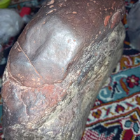 جی سنگ عباس همایی