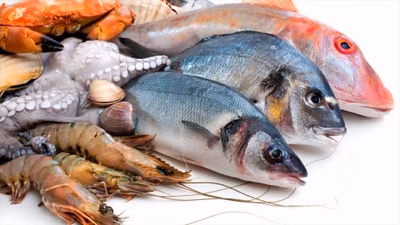 Fishery