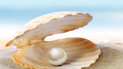 What is the value of pearls from the Persian Gulf?