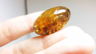 How to Price Amber gemstone with its fantastic design?