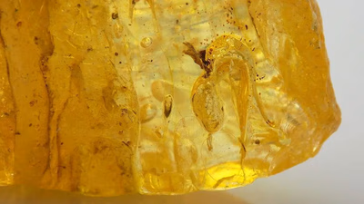 What are the advantages of the original Asian Amber gemstone on body and mind?