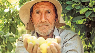Agricultural products of West Asian countries