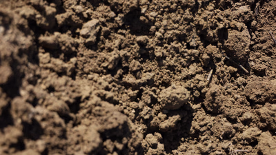 What are the uses of clay?
