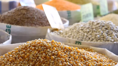 Ortadoğu halkının yemeklerinde tahıl ve baklagillerin yeri