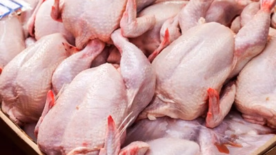 The role of white meat of birds in the diet of Asian Arabs and Muslims