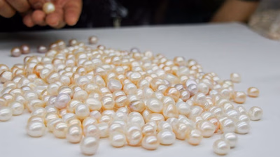 What is a natural pearl?
