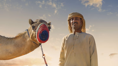 بازاریابی و کانال های توزیع و فروش در عربستان