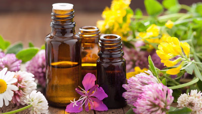 ارزش صادراتی عصاره جات و عرقیات