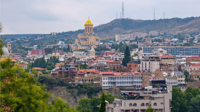 فرصت های تجاری در گرجستان