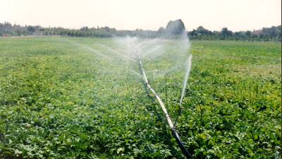What is the agricultural industry?