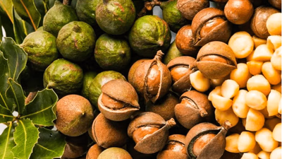 اطلاعات بازار جهانی مکادمیا
