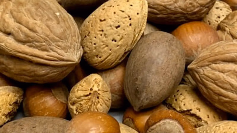 Trade and marketing of nuts in Asia