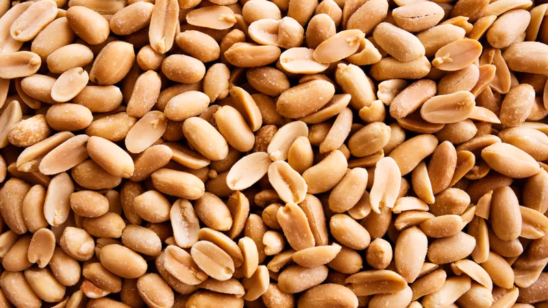 Training on import and export of peanuts