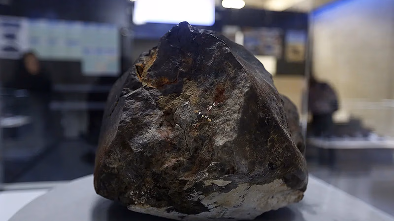 Meteorite export