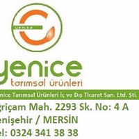 yenice Tarek Rostom