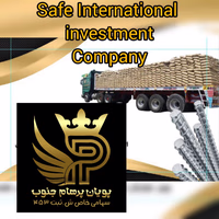 safe international investment company