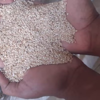 سمسم القضارف