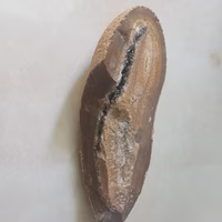 ابویاز ن