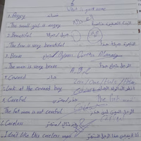 محمد