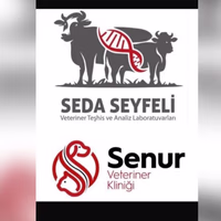 SEDA SEYFELİ LİVESTOCK KFT